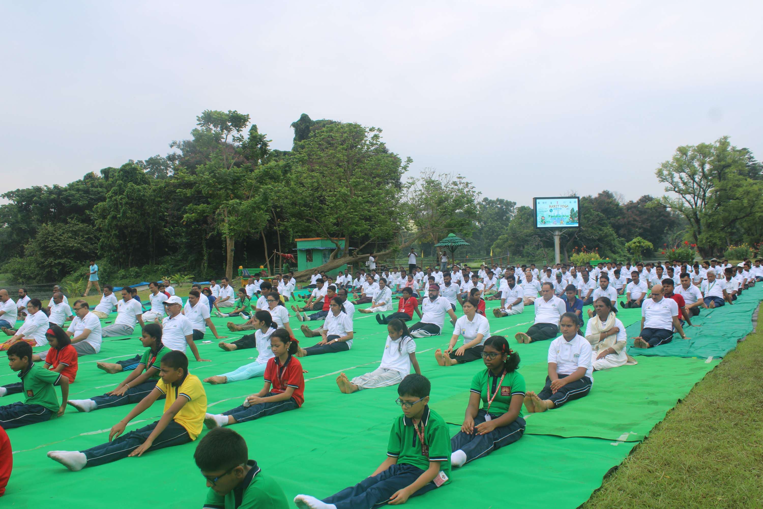 Yoga day 2025