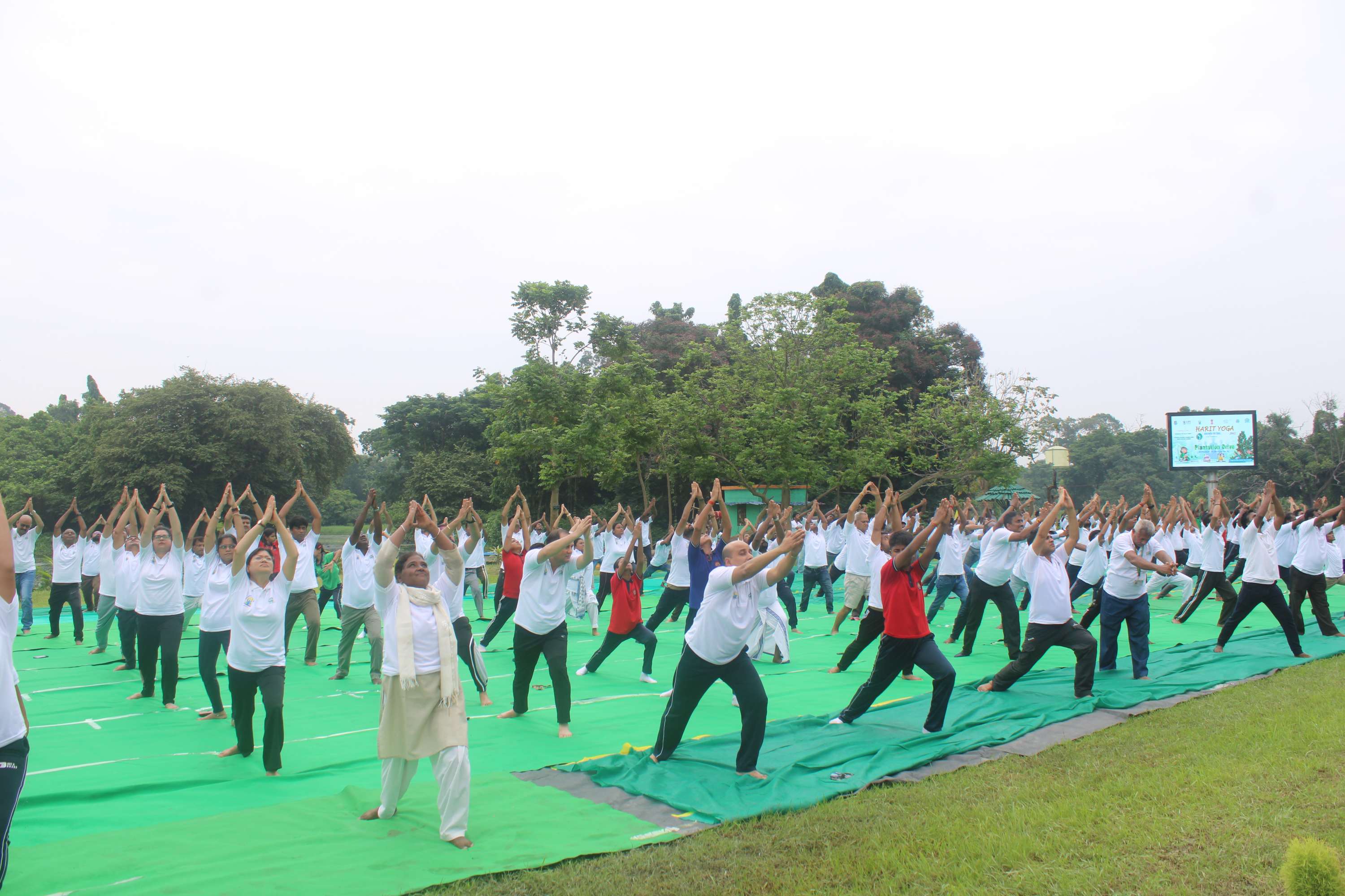 Yoga day 2025