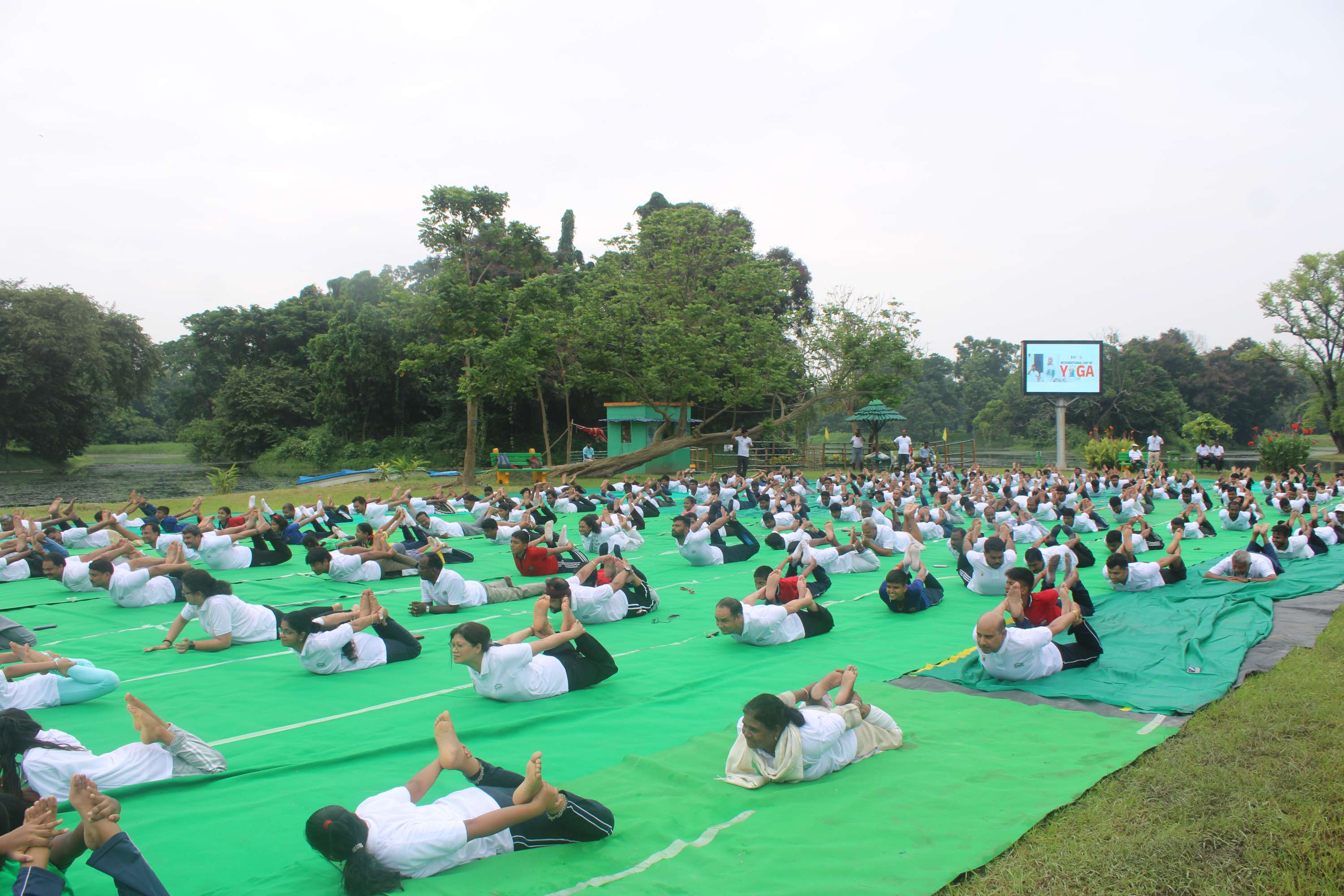 Yoga day 2025