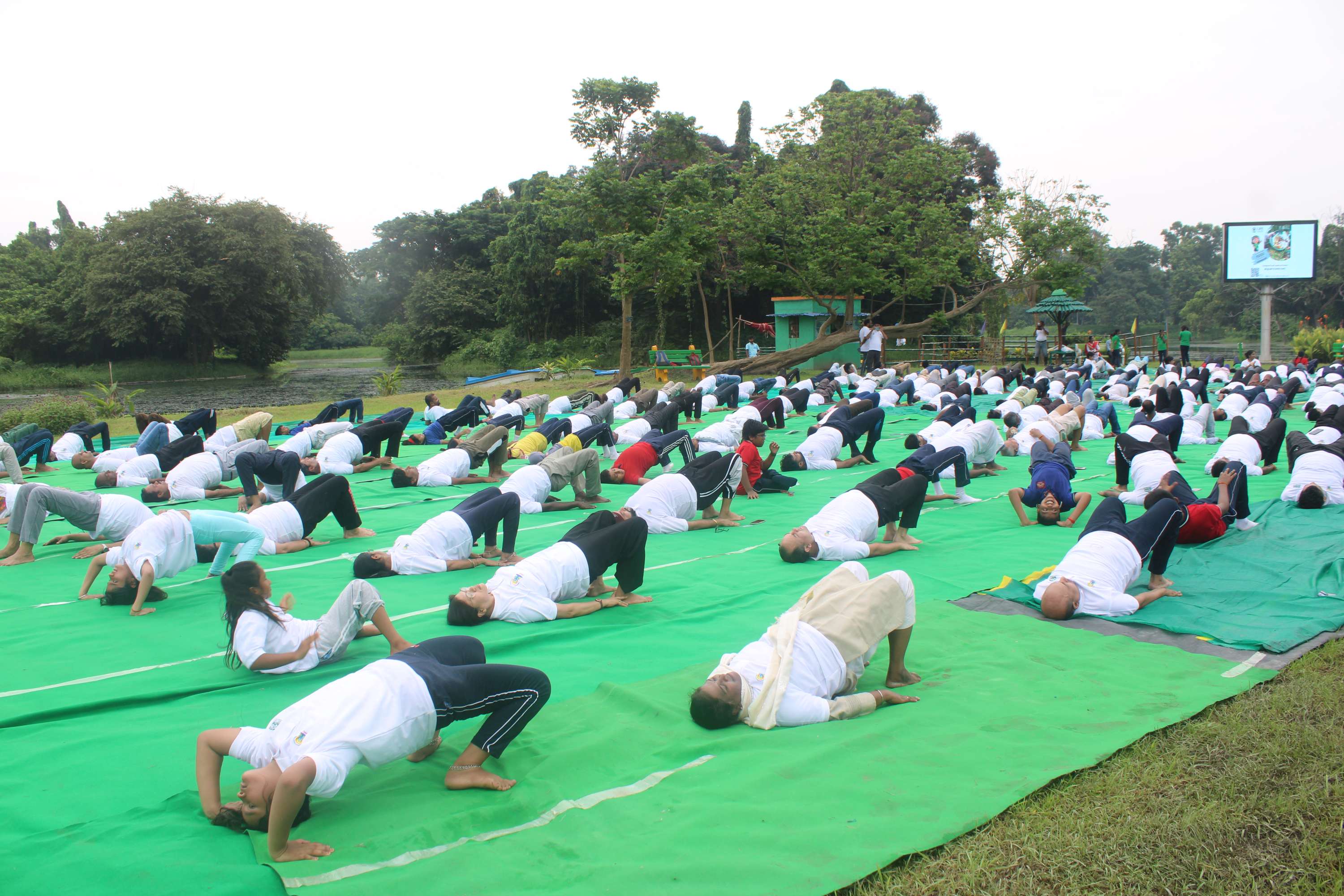 Yoga day 2025