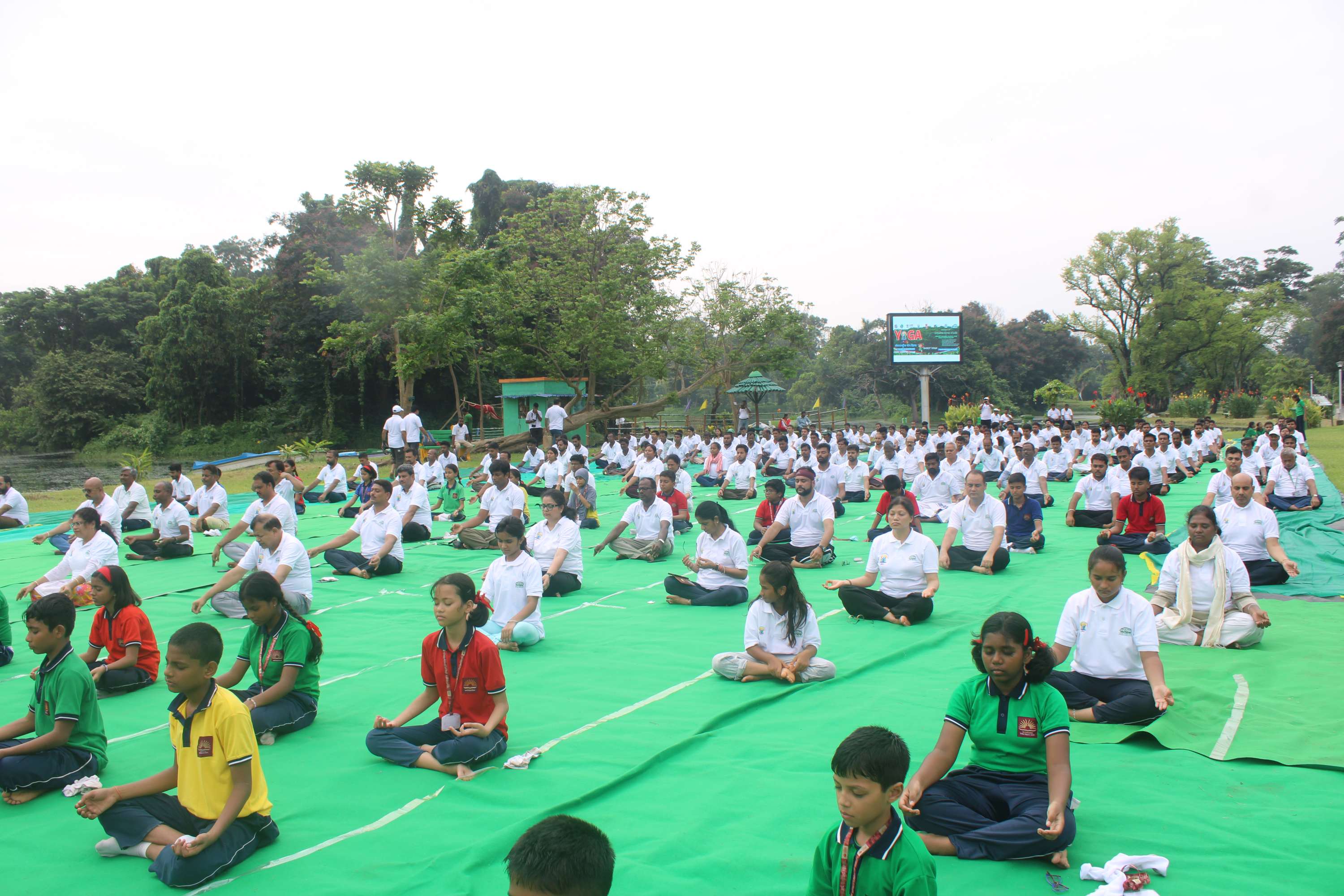 Yoga day 2025